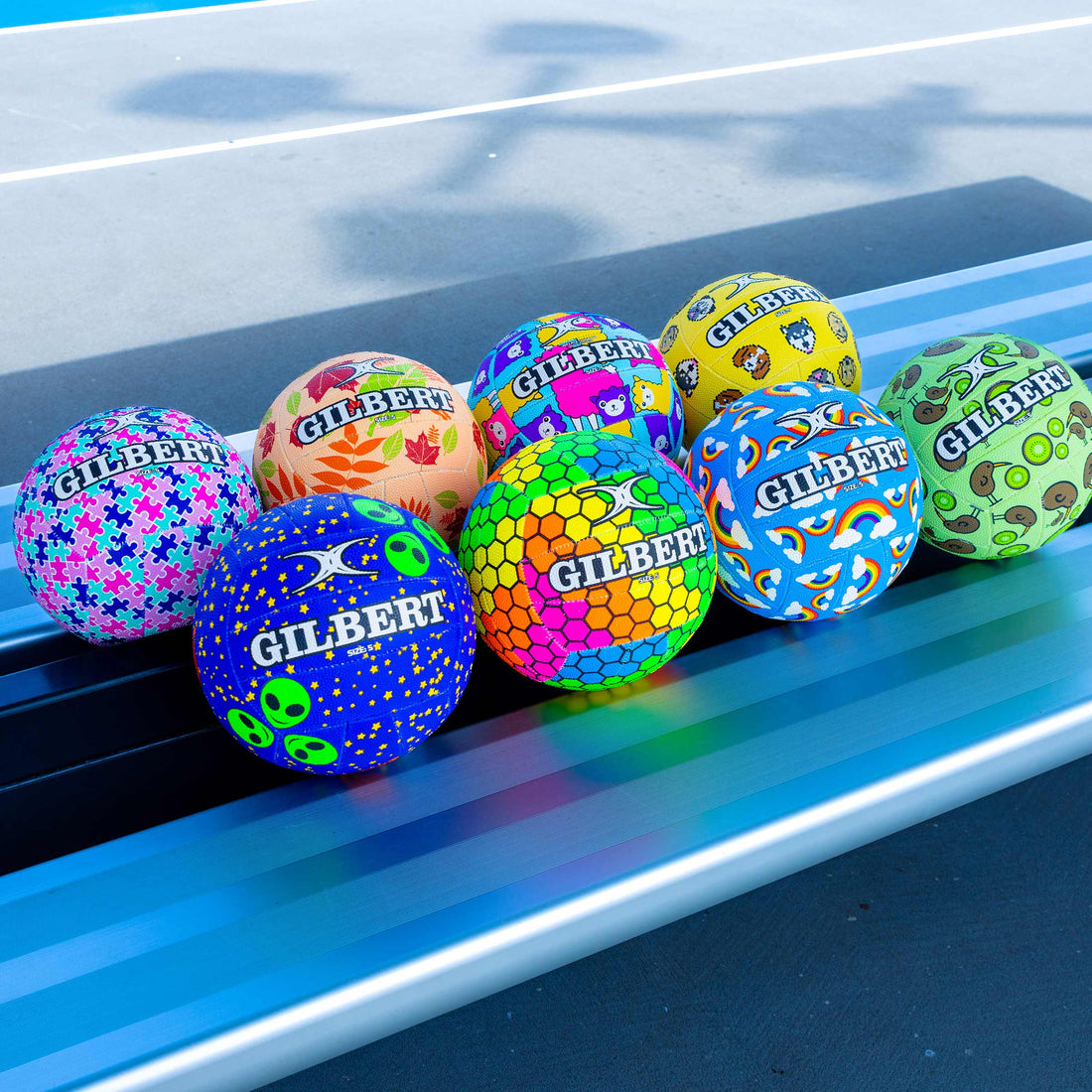 Leisure Netballs
